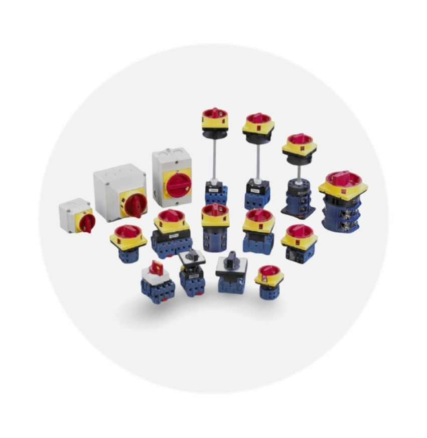 CAM SWITCH